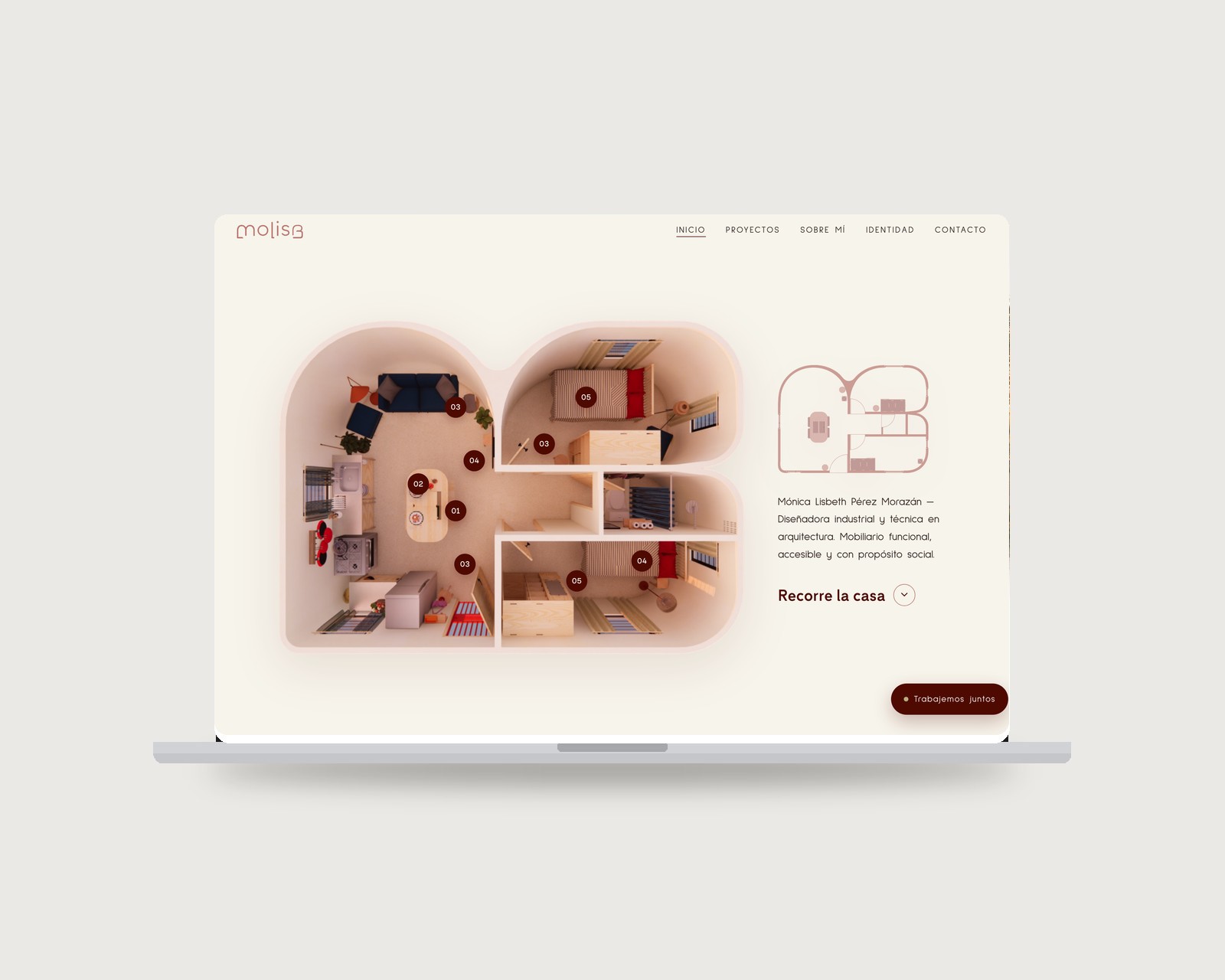 MOLISB — portfolio website