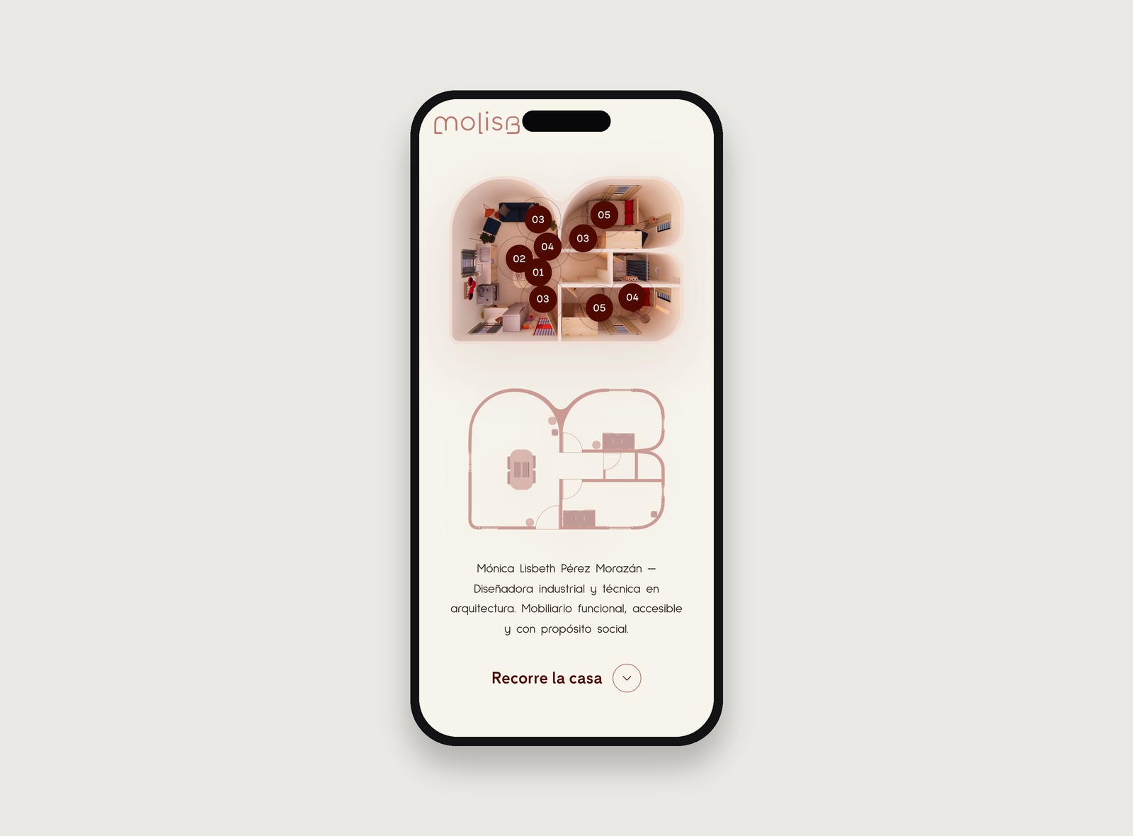 MOLISB, the responsive mobile version of the website